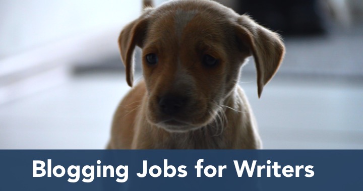 Blogging Jobs for Writers